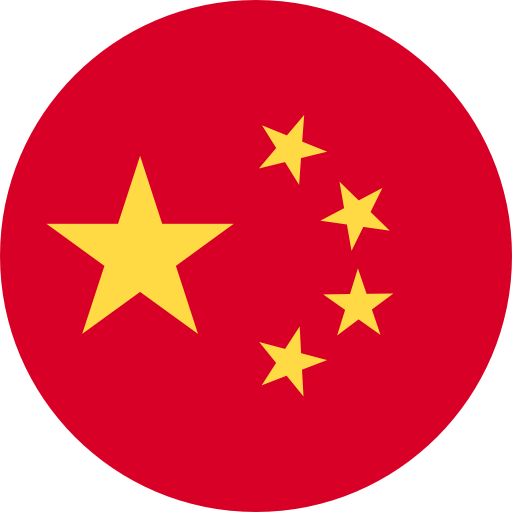 วีซ่าจีน (ธุรกิจ)